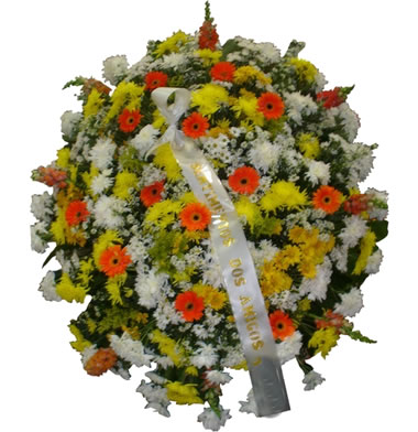 tradicional-c